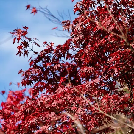Apartment Grosszügiges Bijou In *